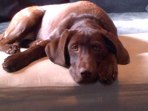 Washington-20130104-01289